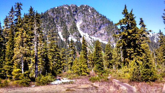 Survey Point from Schreibers Meadow Mt Baker NRA MBS photo