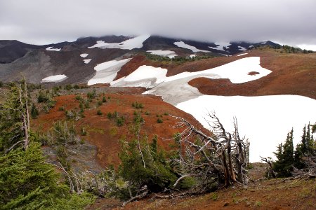 Frazier Upland/Chambers Lakes region in Three Sisters Wilderness on the Willamette National Forest photo