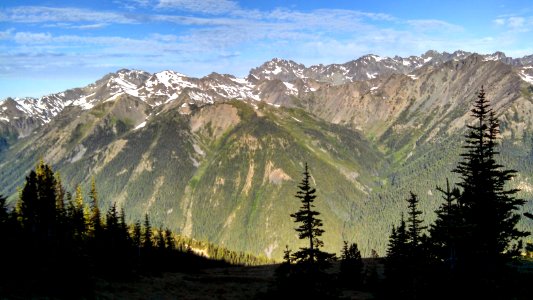 The PNT in the Buckhorn Wilderness, Olympic National Forest photo