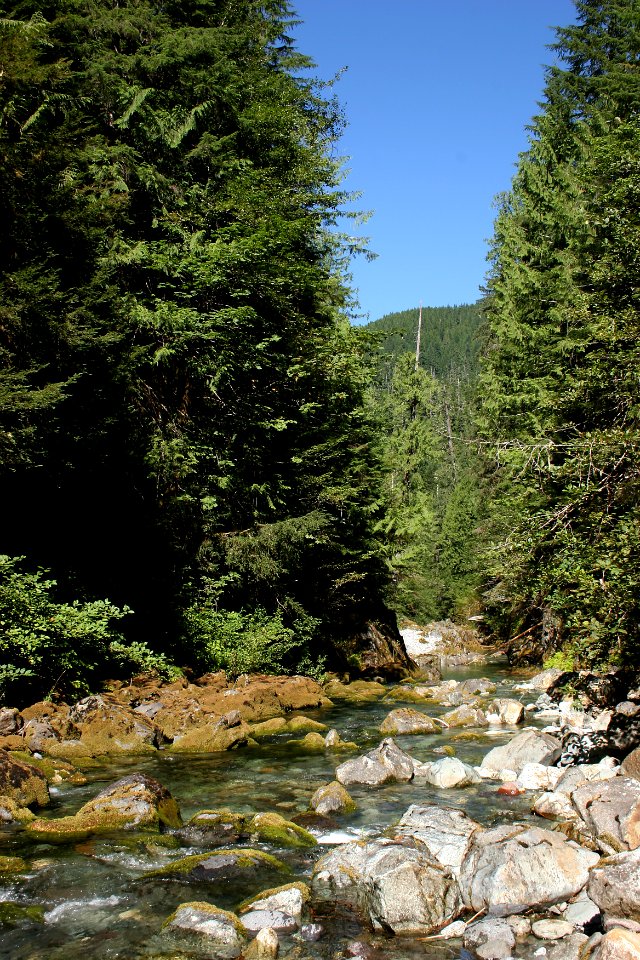 North Fork Santiam River, Willamette National Forest