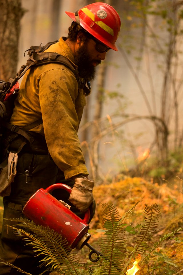 Firefighter, Happy Dog Fire, 2017