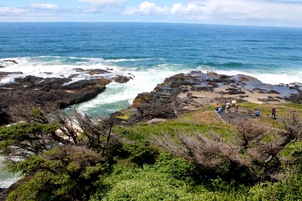Overlook at Cape Perpetua Scenic Area on the Siuslaw National Forest