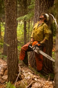 Firefighter, Umpqua National Forest Fires, 2017