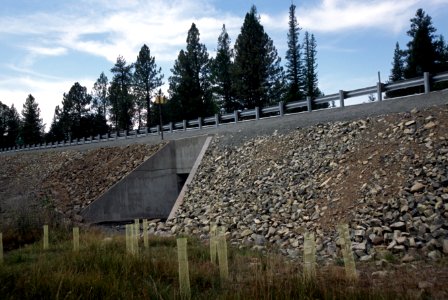 Stream restoration Clear Creek, Malheur National Forest photo