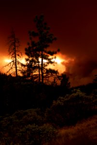 111 Rogue River-Siskiyou National Forest Biscuit Fire photo