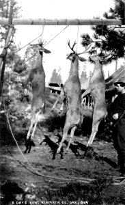 569 A Days Hunt, Klamath County, Ore
