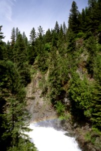 Sullivan Creek, Colville National Forest