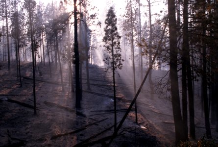 364 McKay Butte Fire, Deschutes National Forest