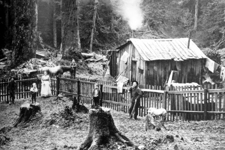 405 Homesteaders pose near their home in the woods