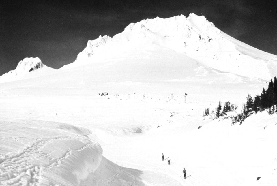 451 Timberline Lodge, Mt Hood National Forest, old Magic Mile chairlift