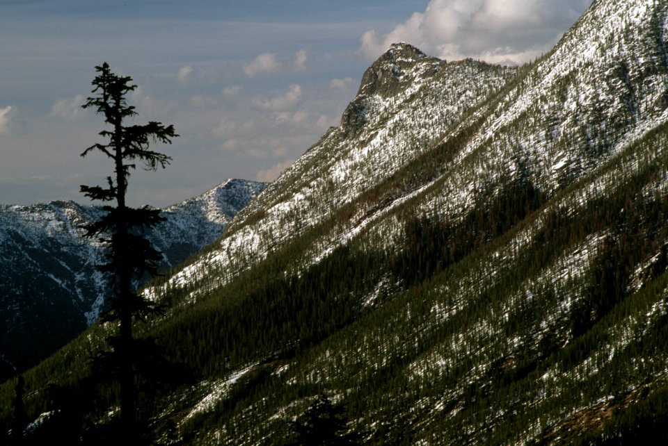 Washington Pass, Okanogan-Wenatchee National Forest-3.jpg
