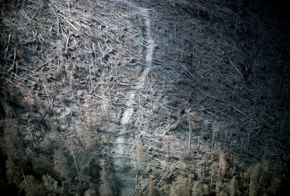 130 Blowndown timber and ash covered forest road