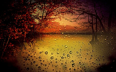 a dream behind the wet glass