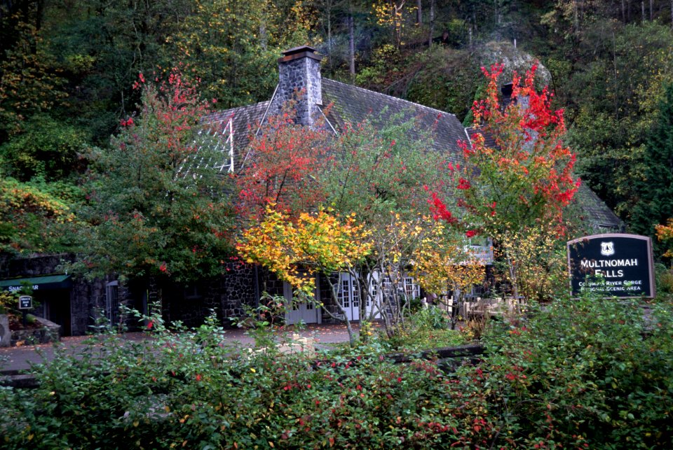 Fall Color at Multnomah Falls Lodge, Columbia River Gorge National Scenic Area.jpg