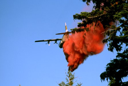 259 Ochoco National Forest, Hash Rock Fire, retardent drop photo