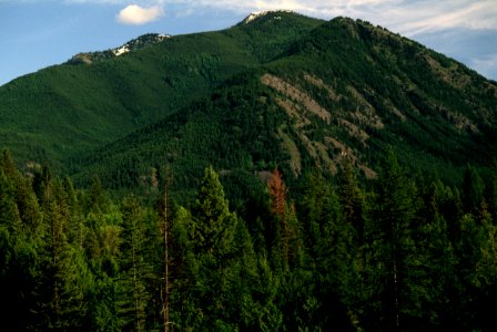 Sullivan Peak, Colville National Forest