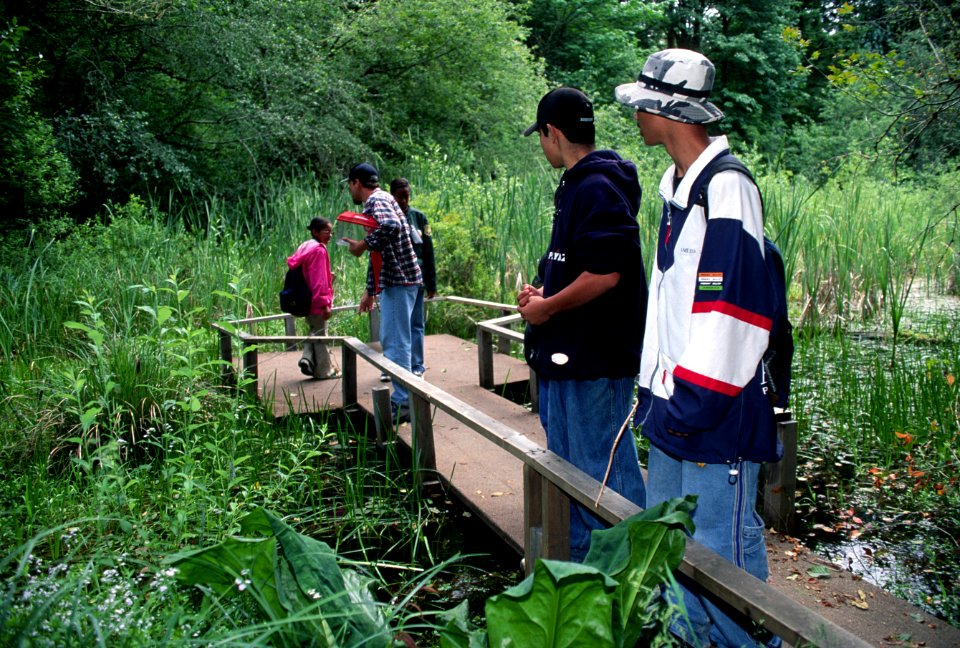Students from Portland perform field studies at Wildwood Park Cascade Streamwatch