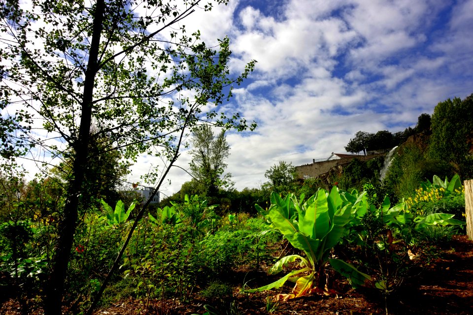 Le jardin extraordinaire de Nantes