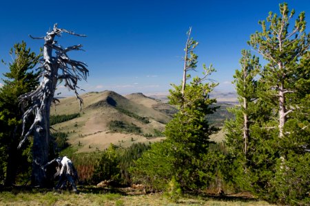 Drake Peak Views-Fremont Winema photo