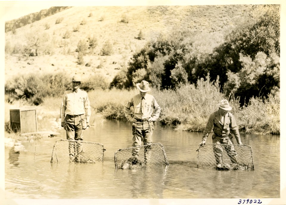 1936 Ochoco 08 25 Beaver 003