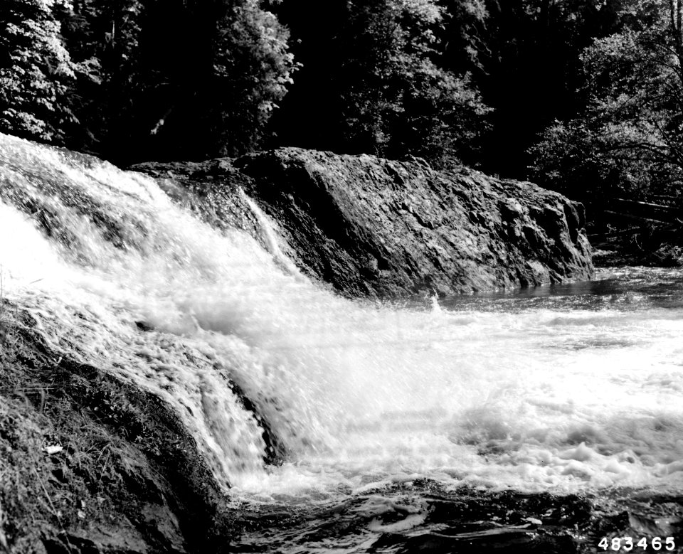 483462 Salmon Creek Falls, Willamette NF, Oregon 1957