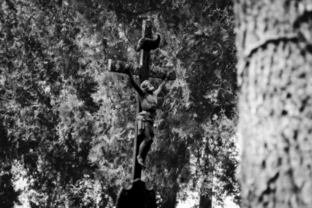 Cemetery cross photo