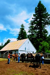 Willamette National Forest - Centennial Celebration at Fish Lake-113 photo