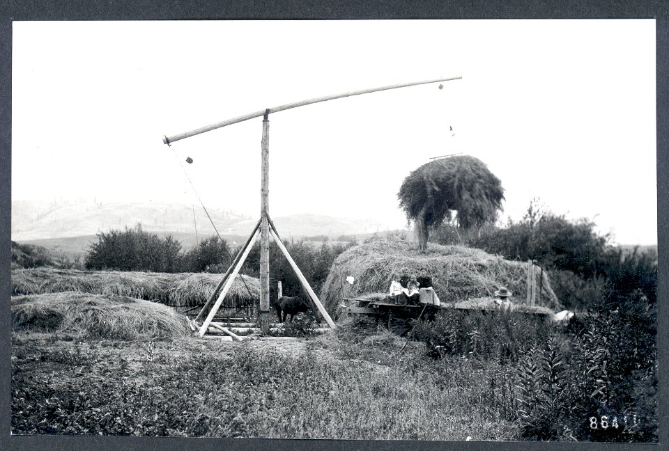 Stacking hay, log crane