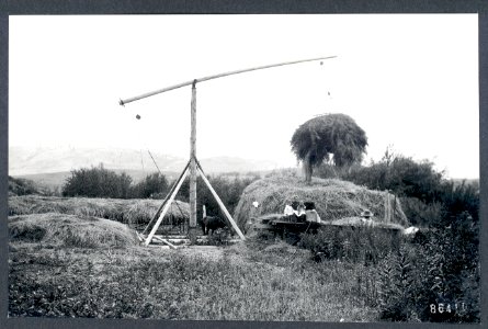 Stacking hay, log crane