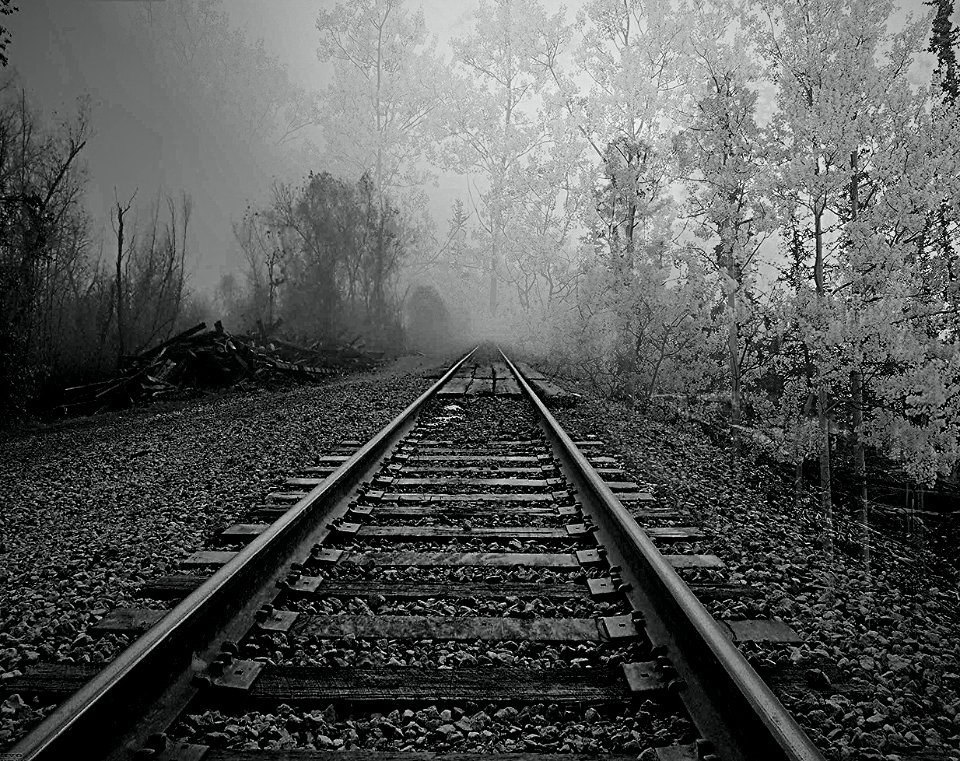 i binari e la nebbia