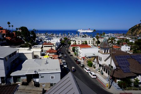 Catalina Island, CA (Unedited) photo