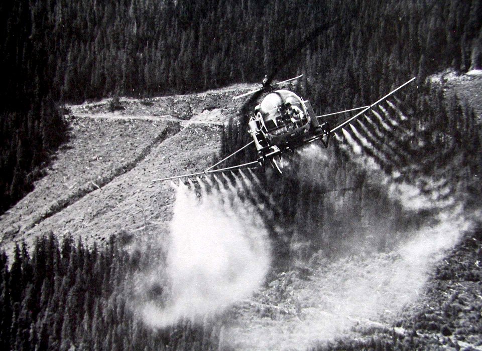 519176 Looper Spray Mt. Baker NF WA 1968 photo