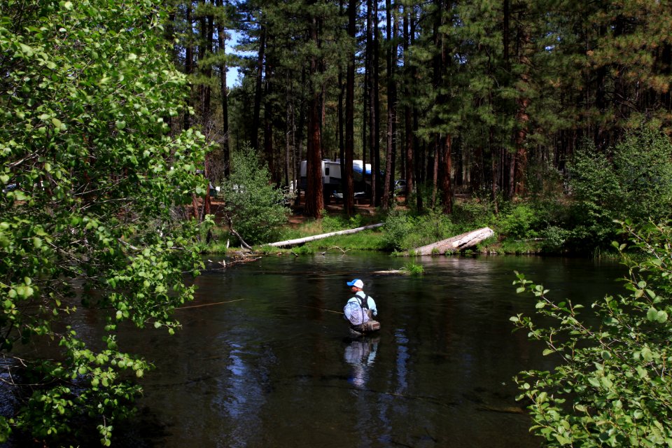 Deschutes National Forest Recreation flyfishing