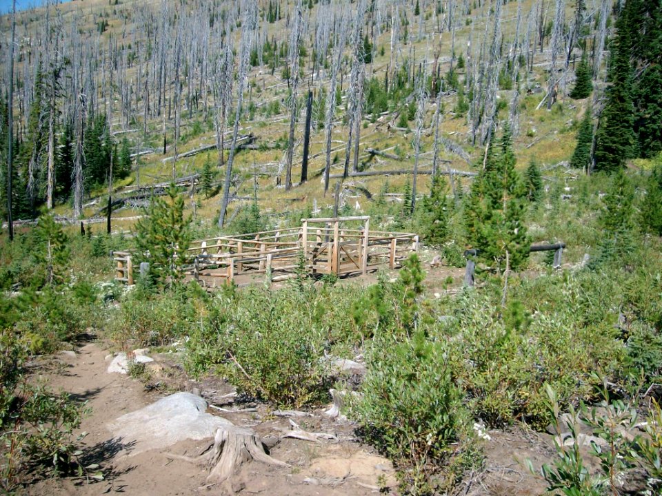 Snow Peak Cabin, Colville National Forest