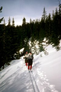 Mt Hood National Forest, cross country skiing,.jpg photo