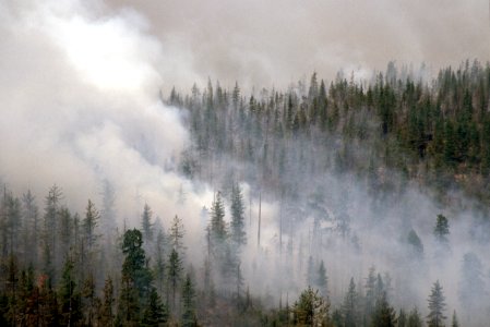 095 Rogue River-Siskiyou National Forest, Biscuit Fire
