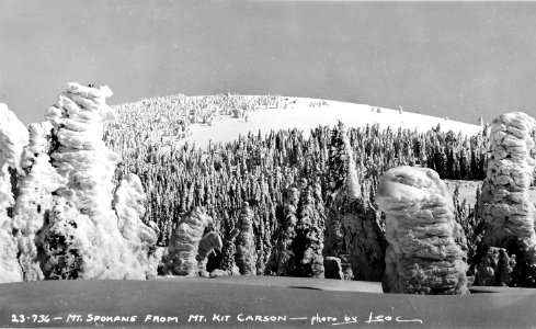 23-736  Mt. Spokane from Mt. Kit Carson, WA