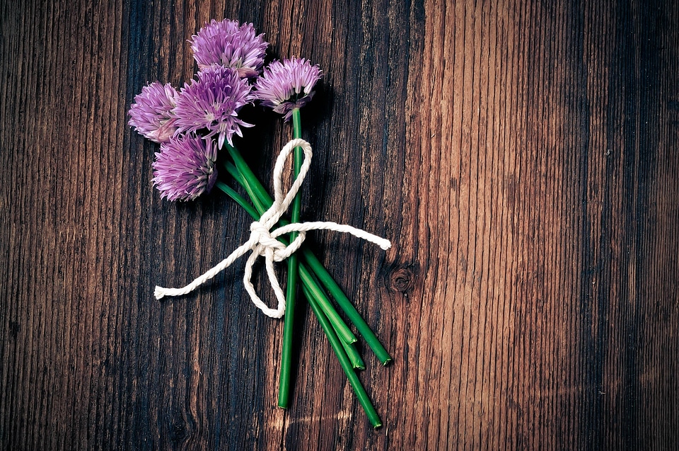 Federal government chive flowers purple