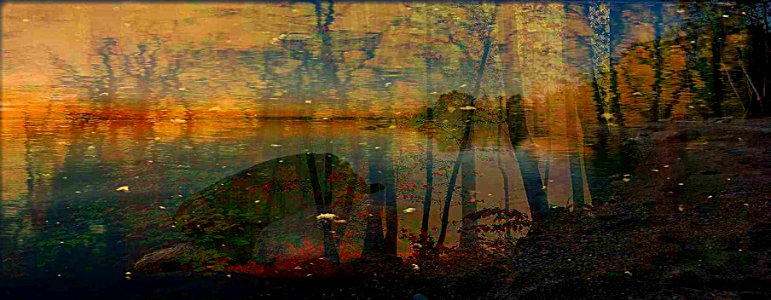 ll bosco  riflesso nell'acqua