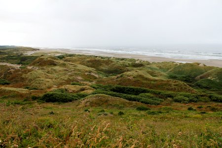 Oregon Dunes National Recreation Area on the Siuslaw National Forest photo