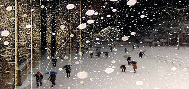 large flakes