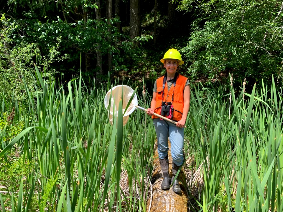 201906 Olympic Audrey Mechtenberg student intern, photo by Karen Holtrop.