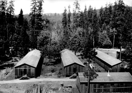 Willamette NF - CCC Camp F-25 Oakridge, Oregon c1933b photo