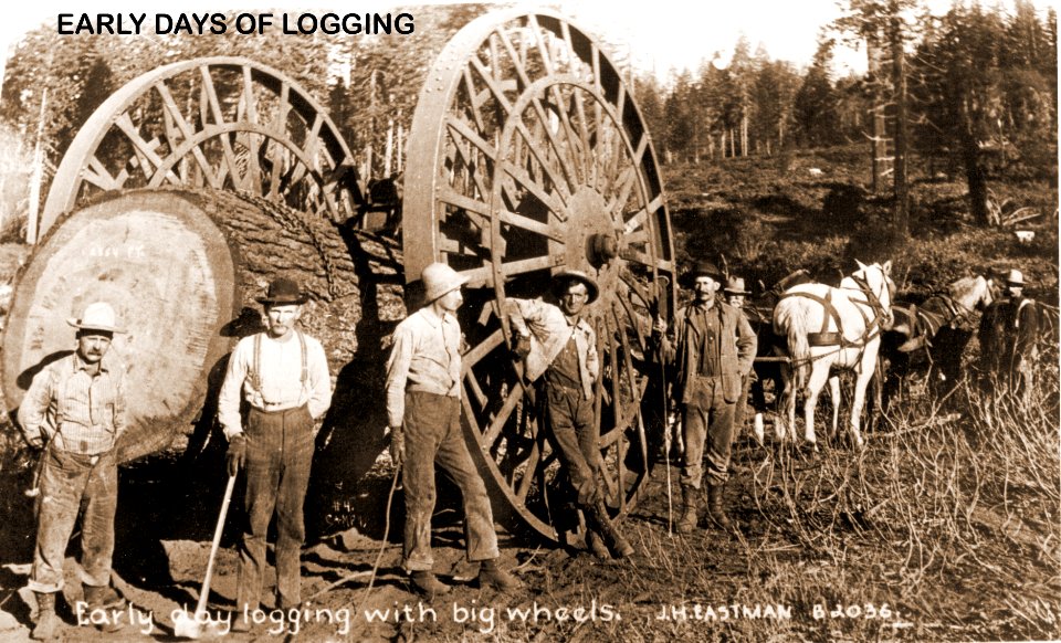 early logging days
