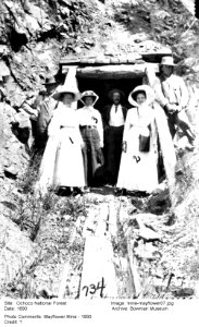 mine mayflower11