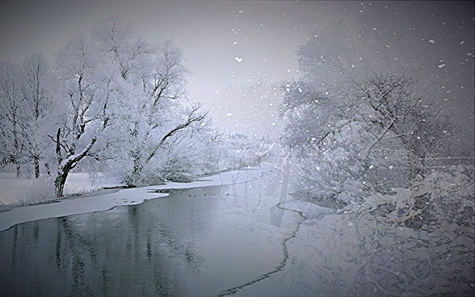 light flakes on ice