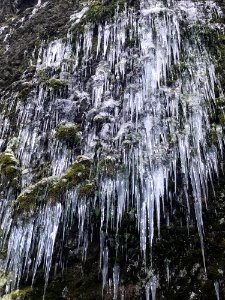 20190305 FS CRGNSA A ice on Horsetail Falls Trail Bart Kicklighter