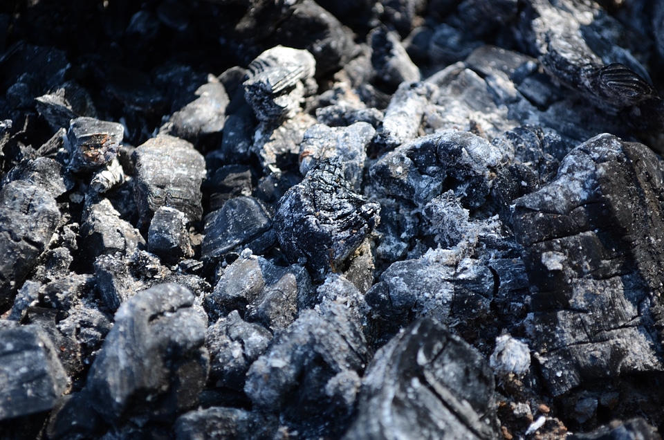 Burnt wood fire extinguished fire