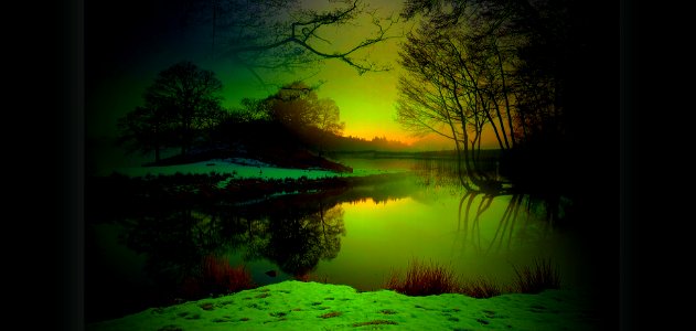 il sogno verde