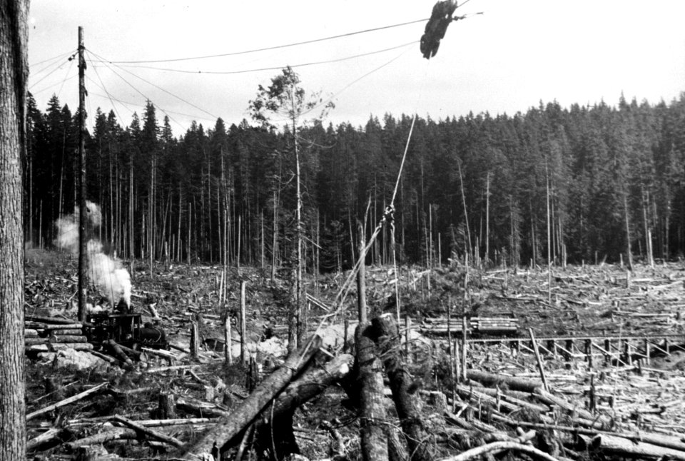 252 Early day railroad logging